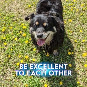 Meet your Posher, Carly